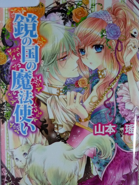 鏡の国の魔法使い　山本瑤(著)